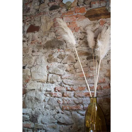 Apartament & Quiet, Full For 2 L'escapade Fleurie Colmar